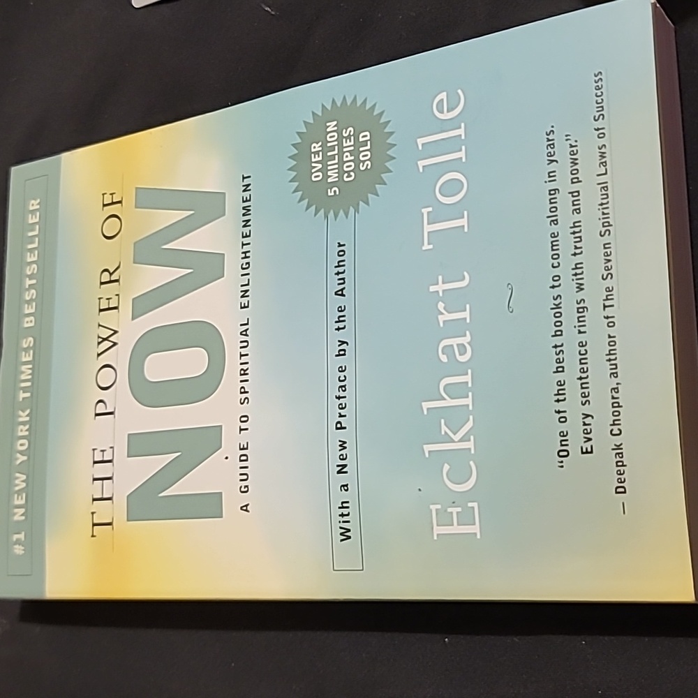 The power of now book